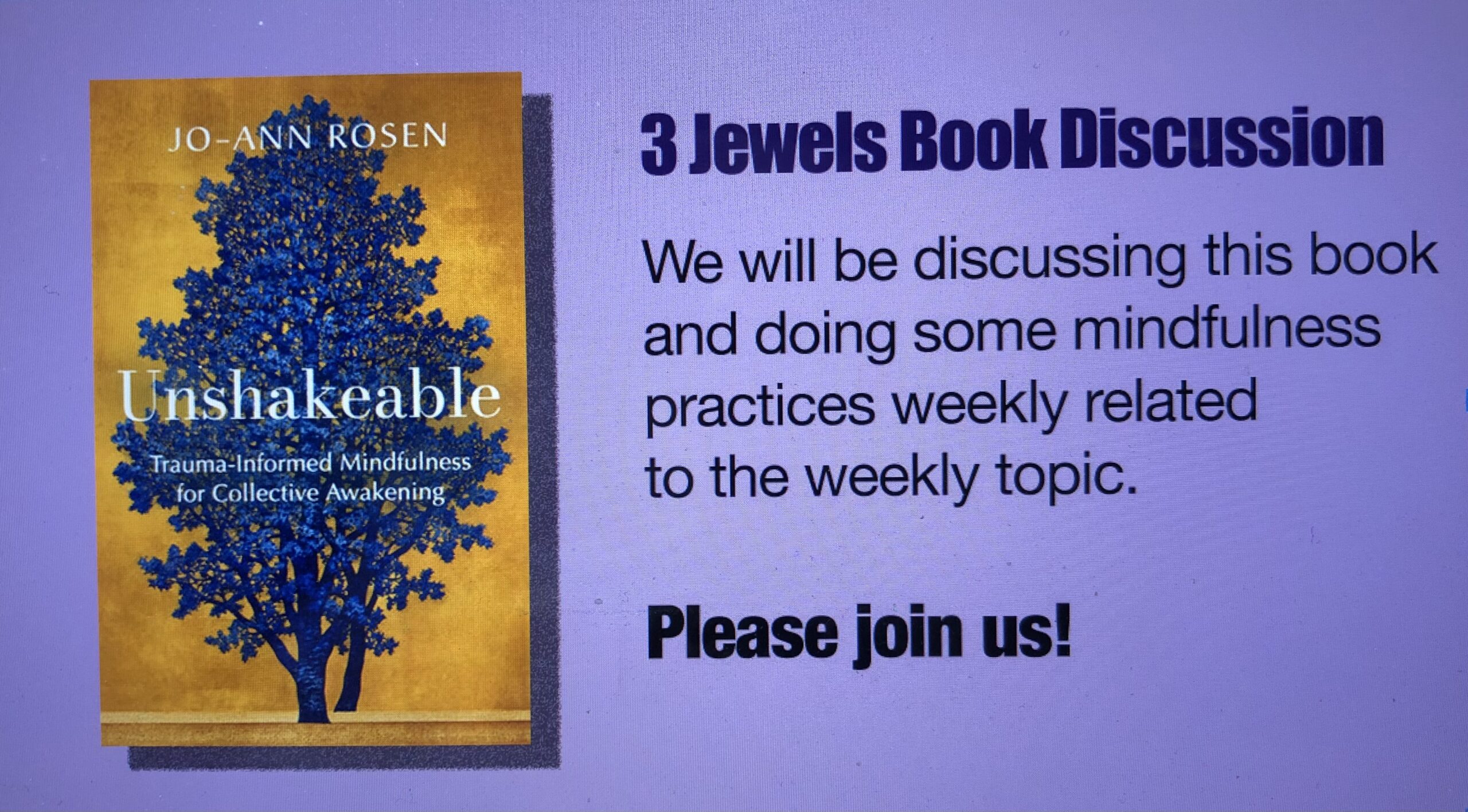 Unshakeable book by Jo-Ann Rosen - study with 3 Jewels Fort Worth Sangha